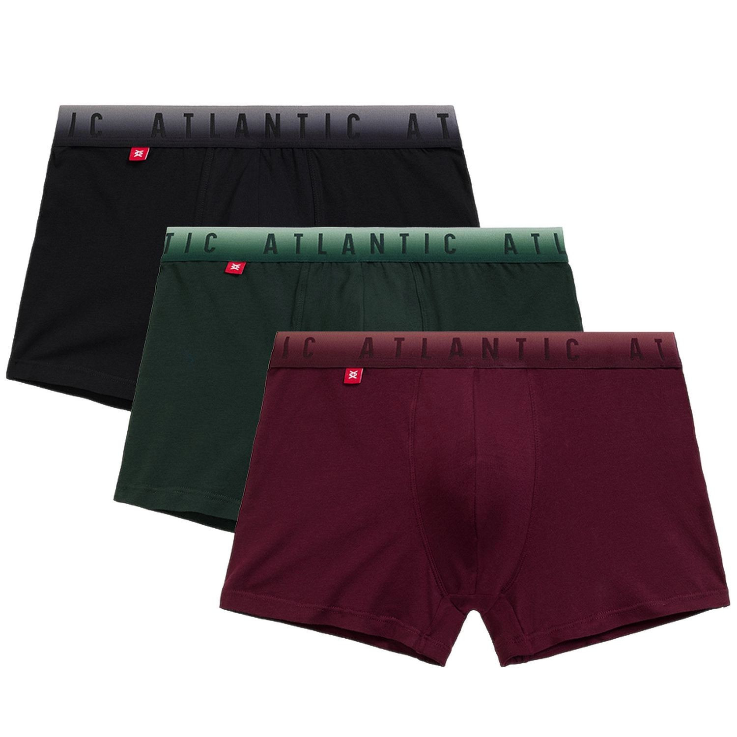 Pánske boxerky 3 pack 052 - Atlantic vícebarevná L