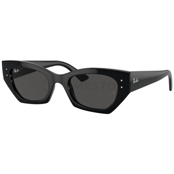 Ray-Ban RB4430 667787 49