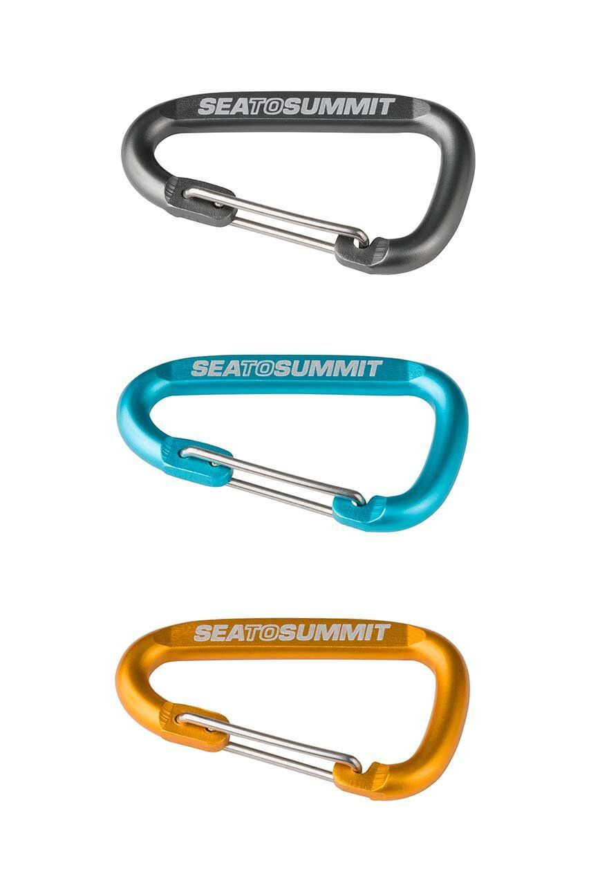 Karabínky Sea To Summit Accessory Carabiner Small 3-pak AABINER3