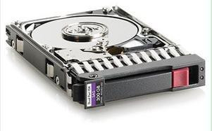 HP HDD SAS DP 300G 10k 2.5 HotPlug 6G ENT SFF 507127-B21 507284-001