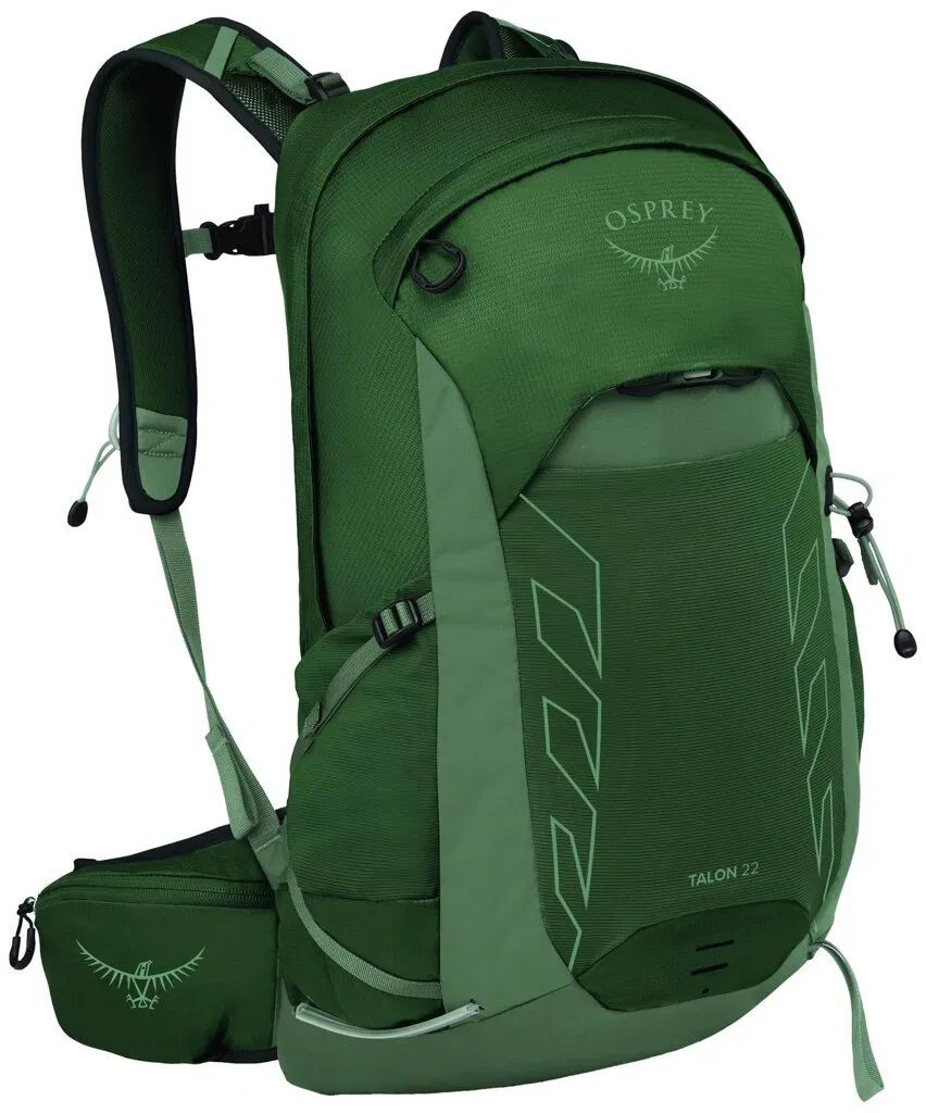 Osprey TALON 22 green canopy/pine leaf
