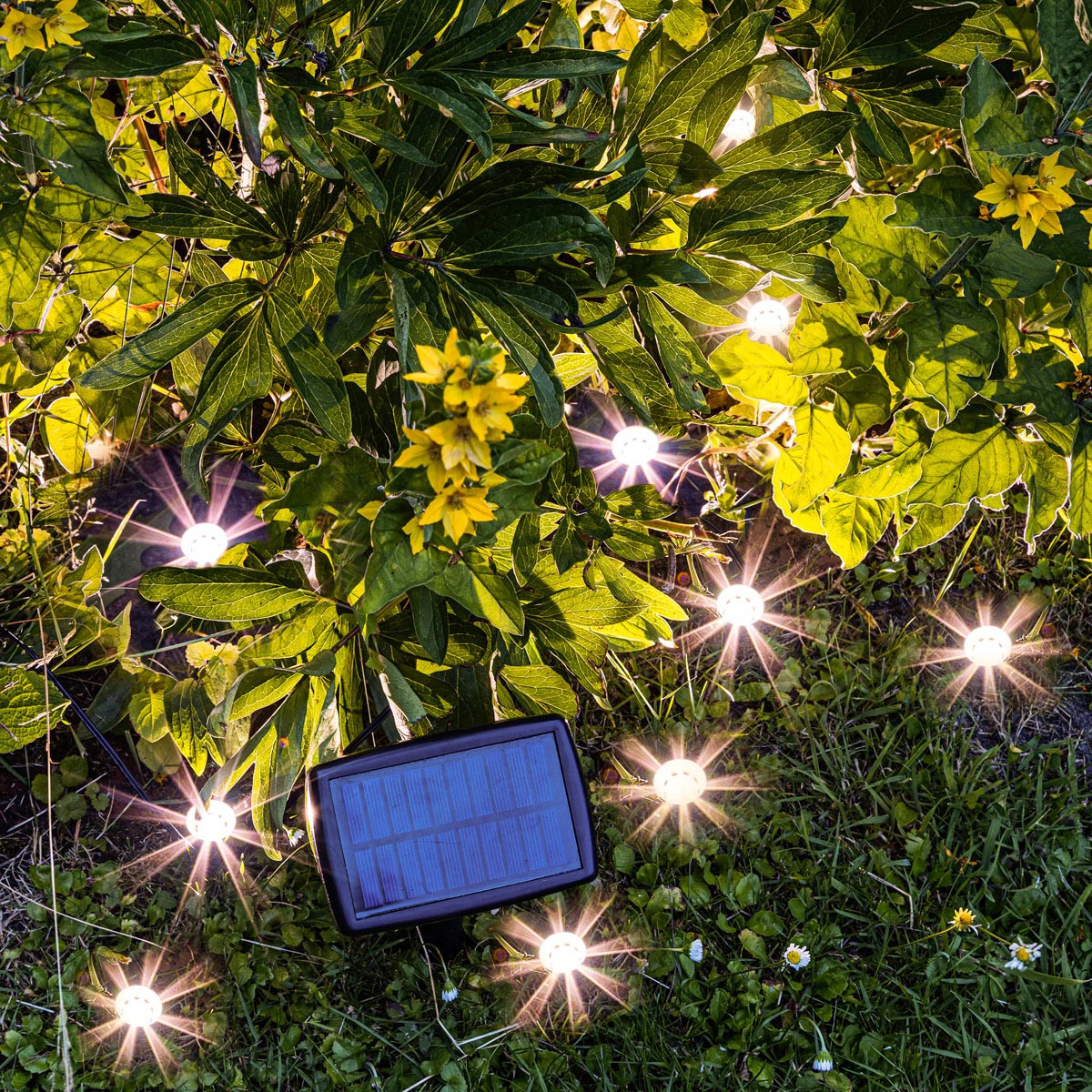 Haushalt international LED Solární zemní světla, 10 ks