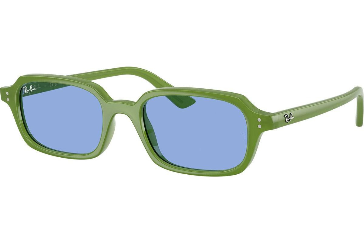 Ray-Ban Zuri RB4455 681080 - L (52)