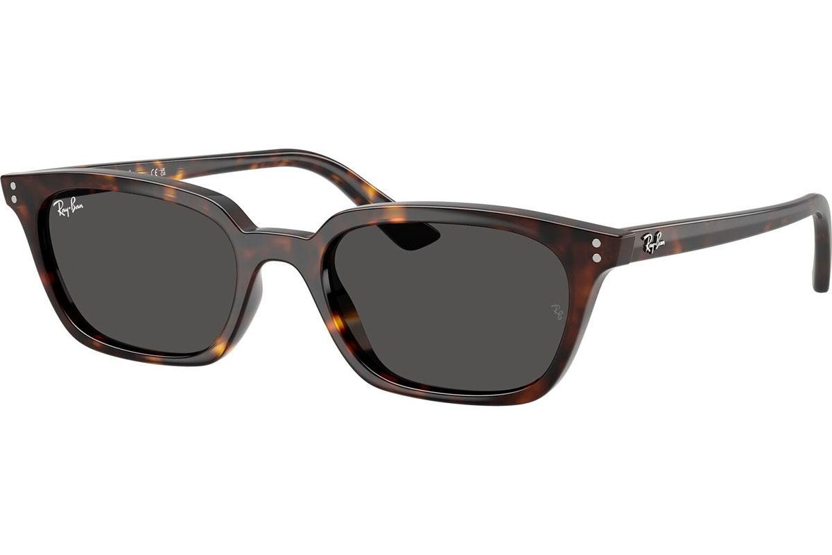 Ray-Ban Zaya RB4456 135987 - L (53)
