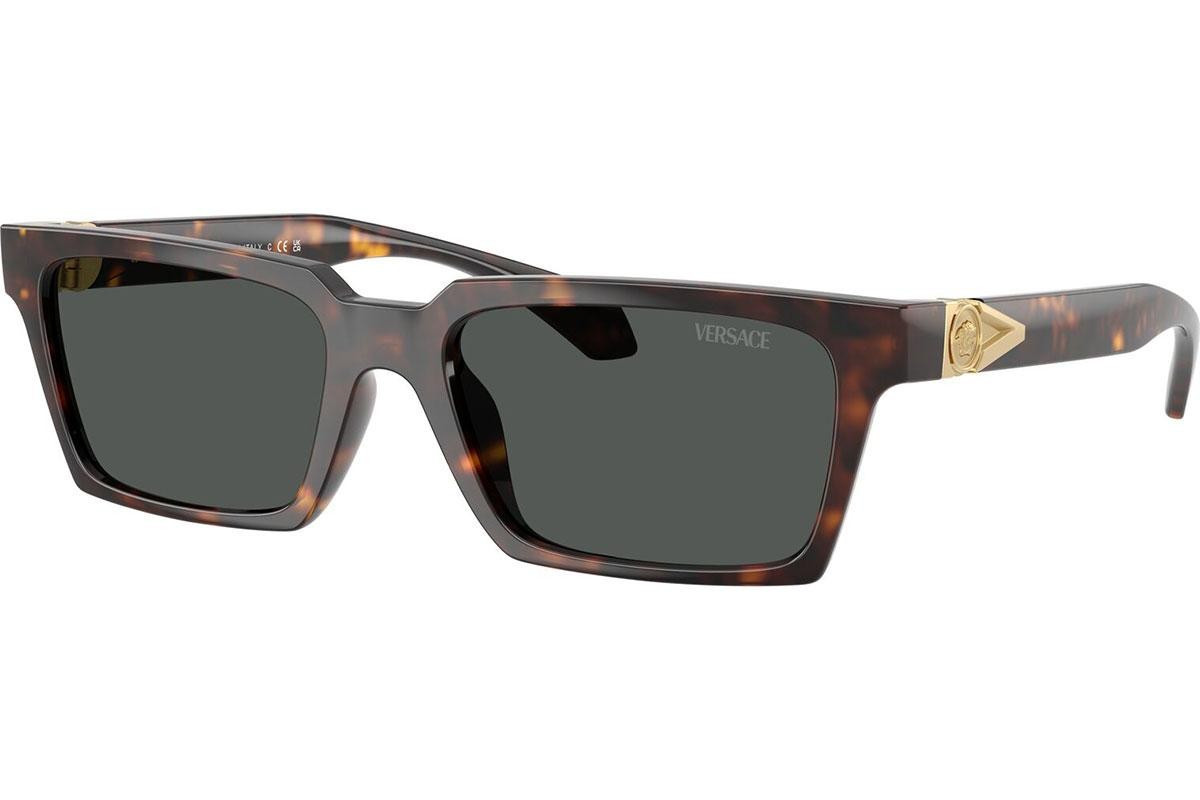 Versace VE4490U 108/87 - ONE SIZE (55)