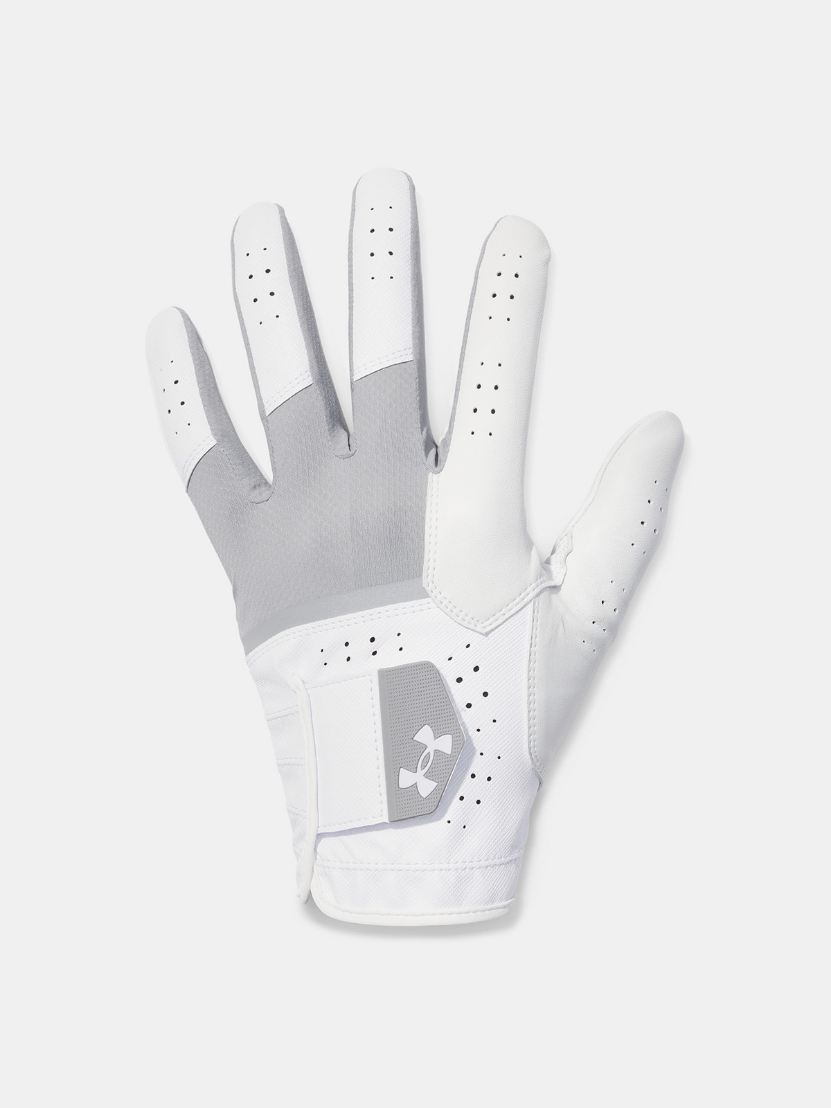 Men's gloves Under Armour Glide Iso-Chill Pro - Men's