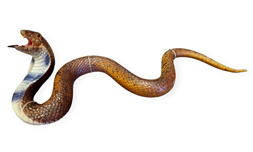 Had pythón gumový 48cm