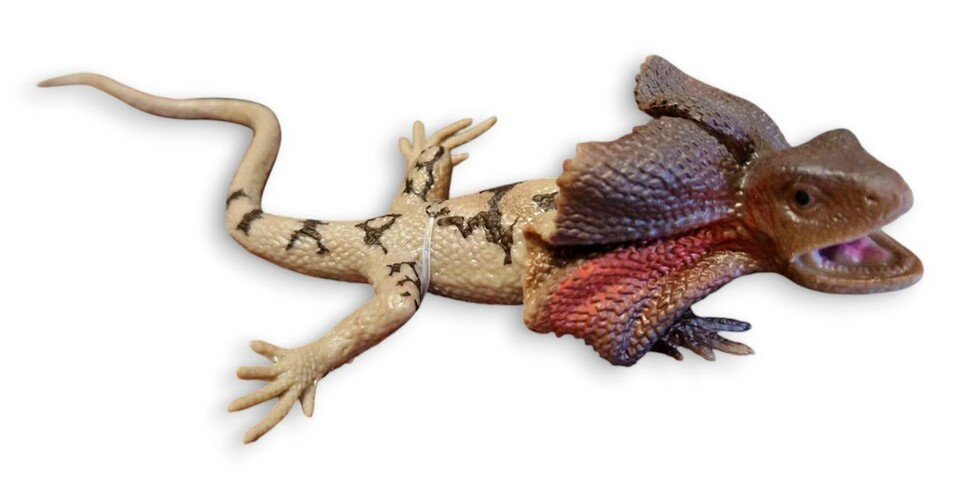 Jašterica Agama gumená 18cm