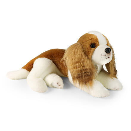 Rappa Plyšový pes gavalier king Charles španiel 40 cm ECO-FRIENDLY