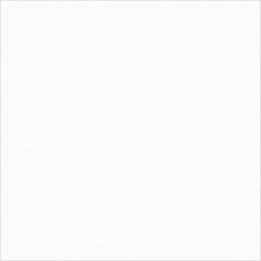 Monolook White Lappato 59,8/59,8