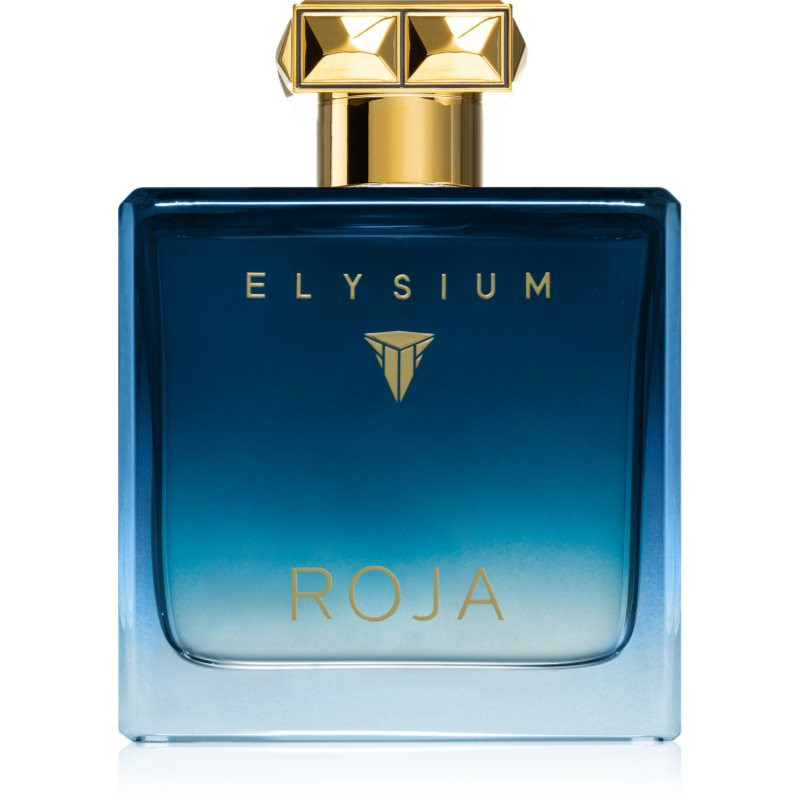 Roja Parfums Elysium Pour Homme parfumovaná voda pre mužov 100 ml