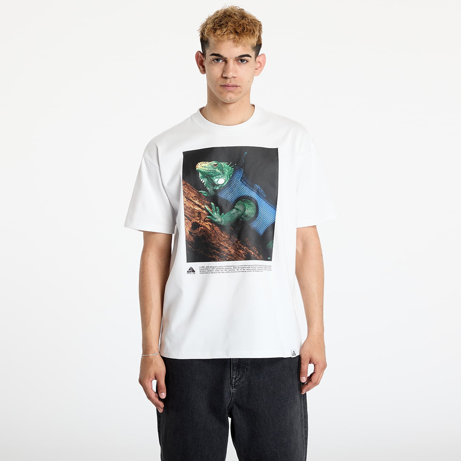 Tričko Nike ACG Men's Dri-Fit T-Shirt Summit White XS