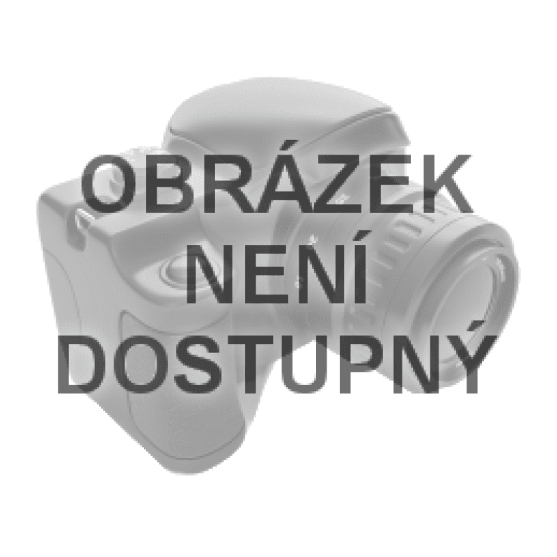 Riwall PRO Vodící lišta 26 cm (10