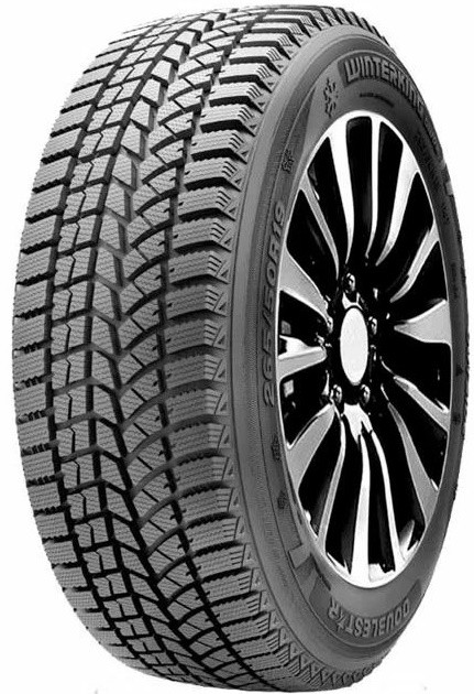 Doublestar WINTERKING DW02 245/40 R20 99T