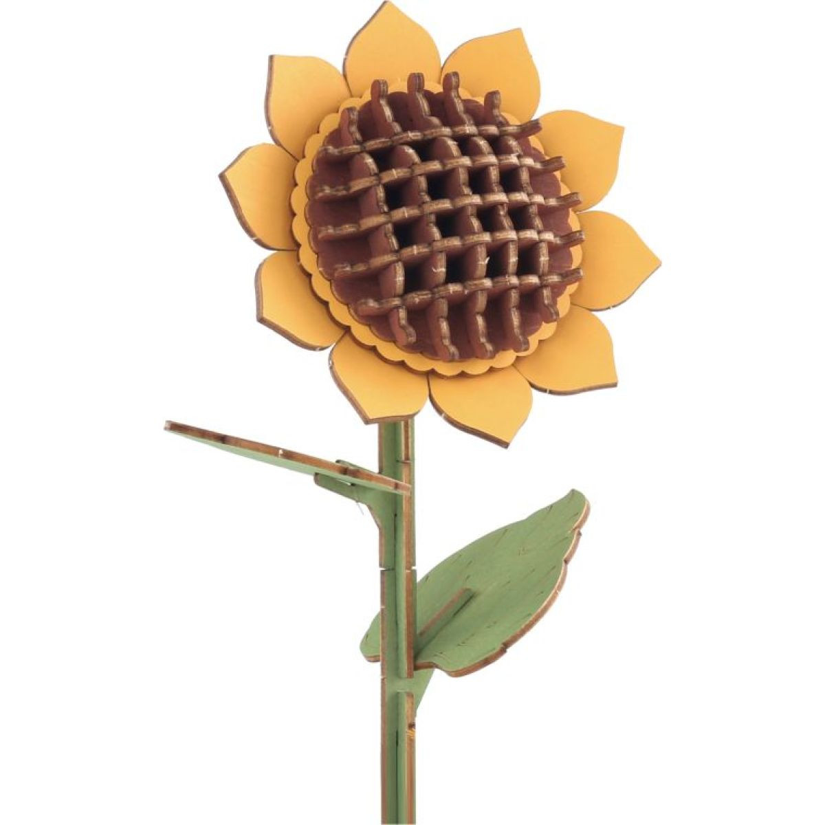 Slnečnica drevená 3D