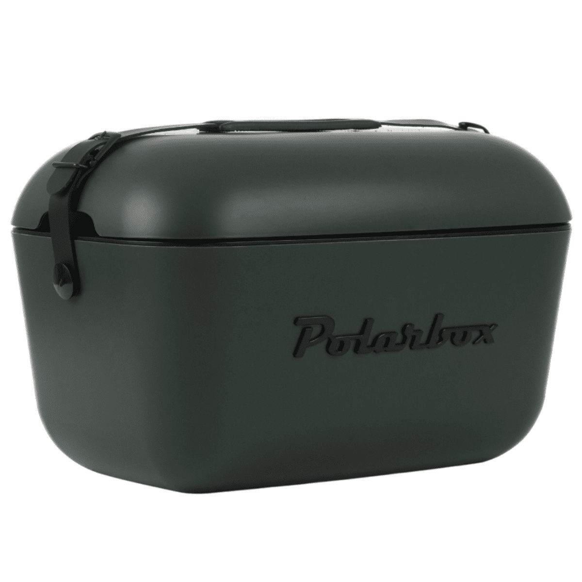 Polarbox Chladiaci box Classic Black 12 l, zelený, 12 l