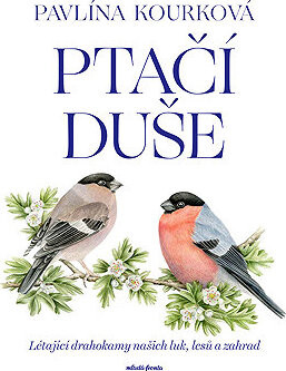 Ptačí duše