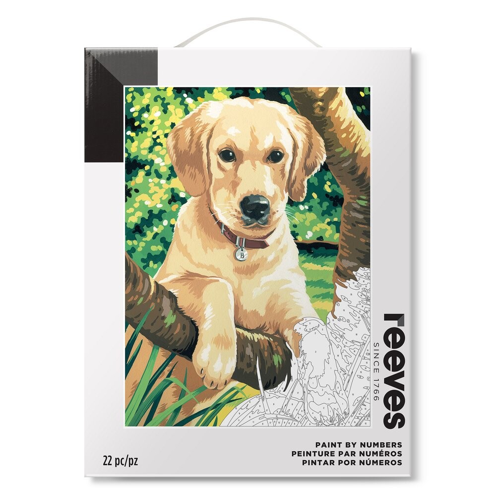 Reeves Maľovanie podľa čísel - Labrador 30x40 cm