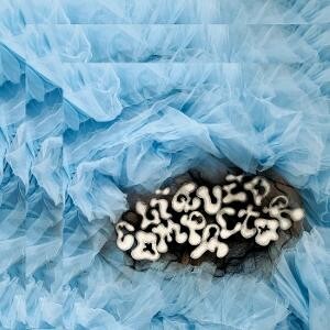 Penny & The Quarters, LIQUID COMPACTOR, CD