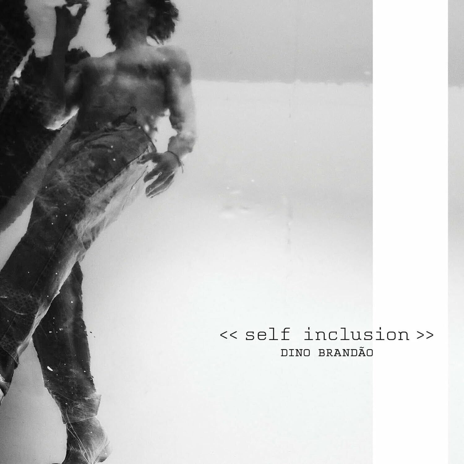 Dino Brandão, SELF-INCLUSION, CD