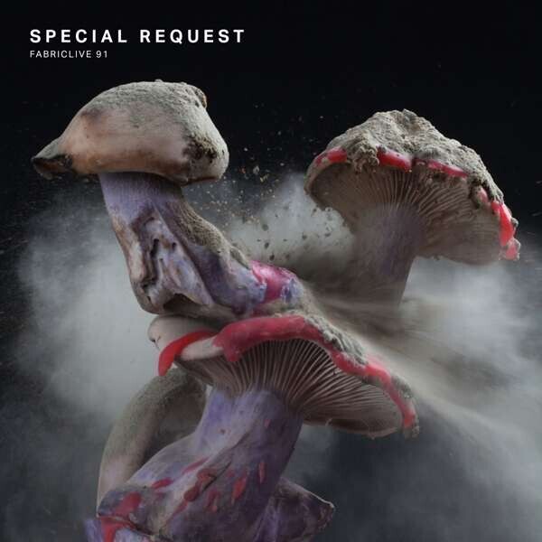 Special Request, FABRICLIVE 91: SPECIAL REQUEST, CD