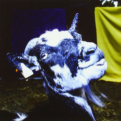 BARELY AUTUMN - DAY TRIP TO THE PETTING ZOO, CD