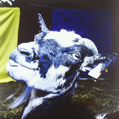 BARELY AUTUMN - DAY TRIP TO THE PETTING ZOO, Vinyl