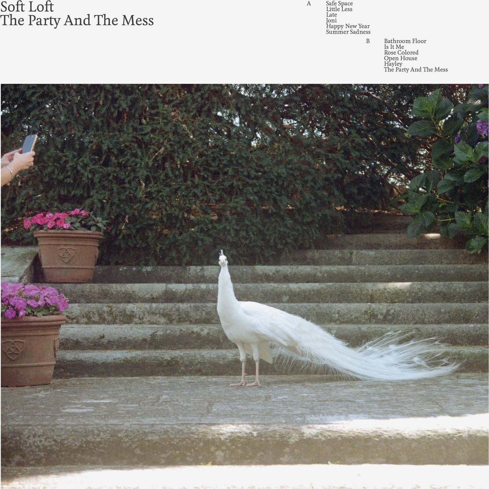 Soft Loft, THE PARTY AND THE MESS, CD