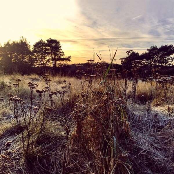 Ane Brun, LEAVE ME BREATHLESS, CD