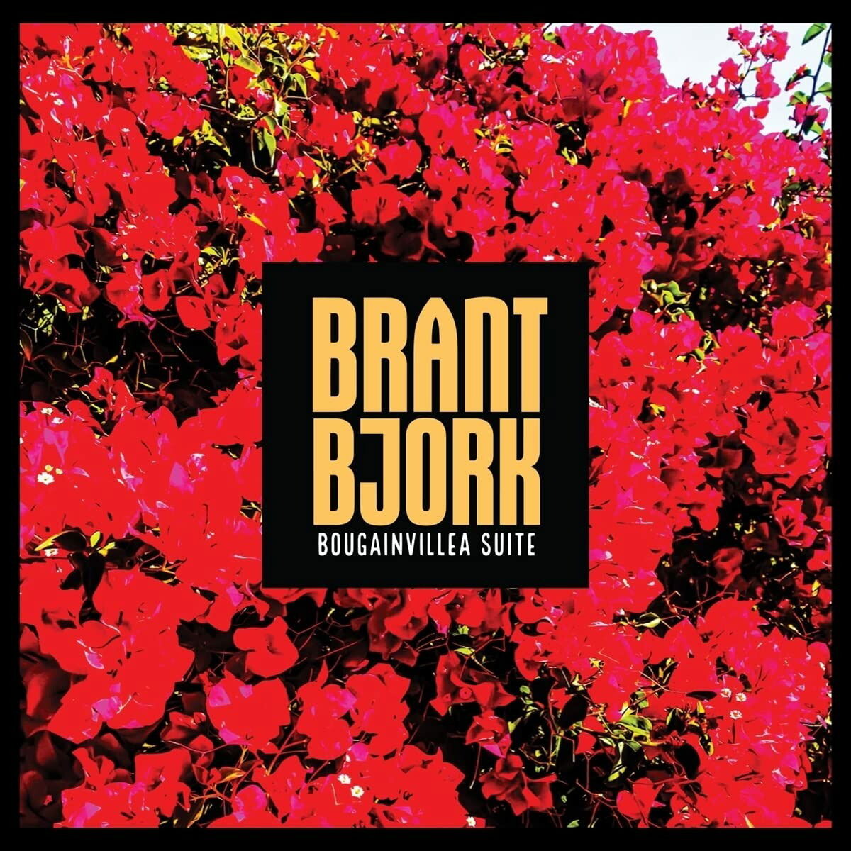 Brant Bjork and the Bros, BOUGAINVILLEA SUITE, CD