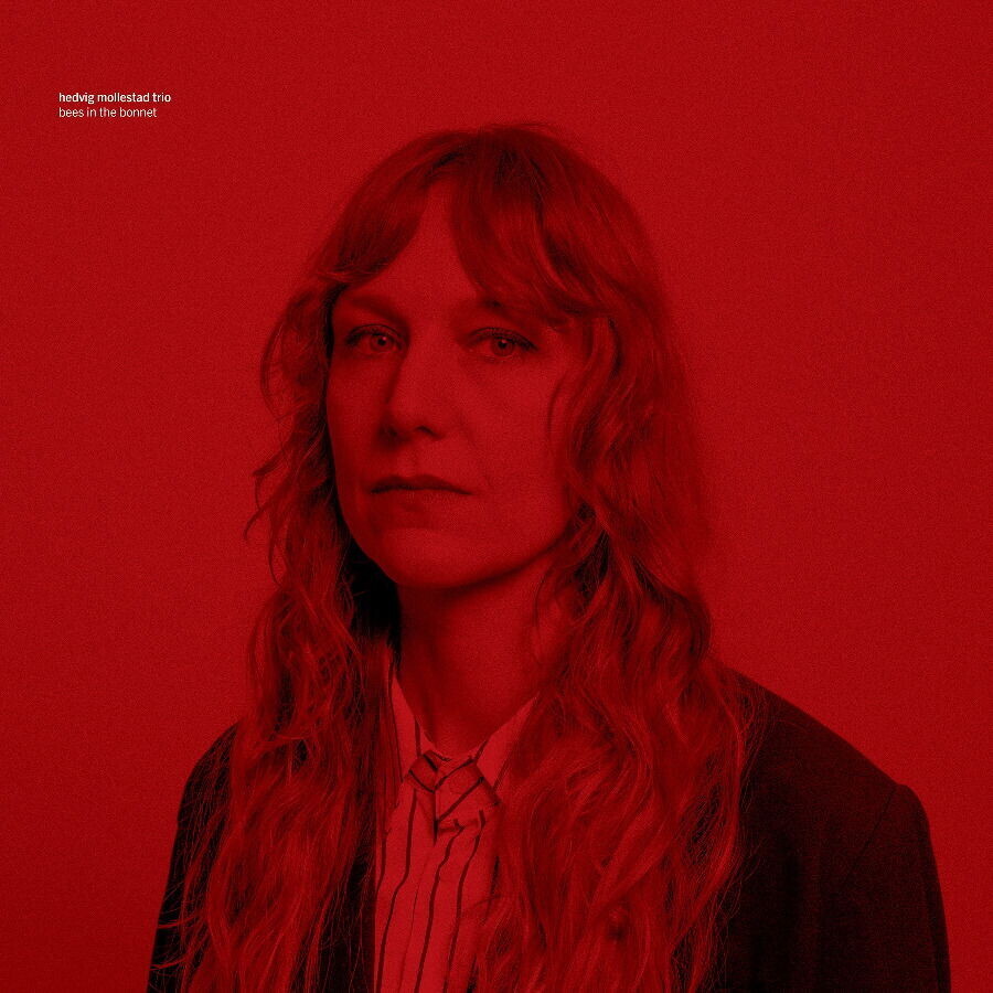 Hedvig Mollestad Trio, BEES IN THE BONNET, CD