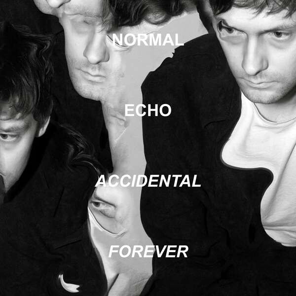ACCIDENTAL FOREVER
