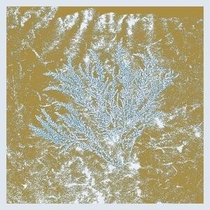 FOR THOSE OF YOU WHO HAVE NEVER