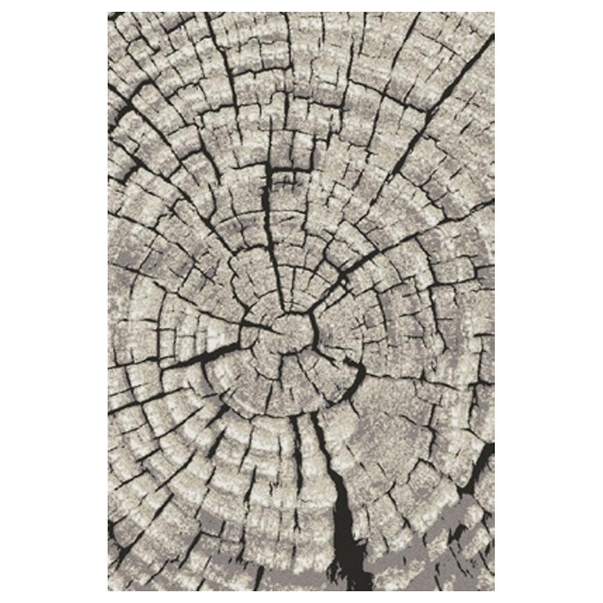 Koberec Frisee Phoenix 1,2/1,7 6021 244