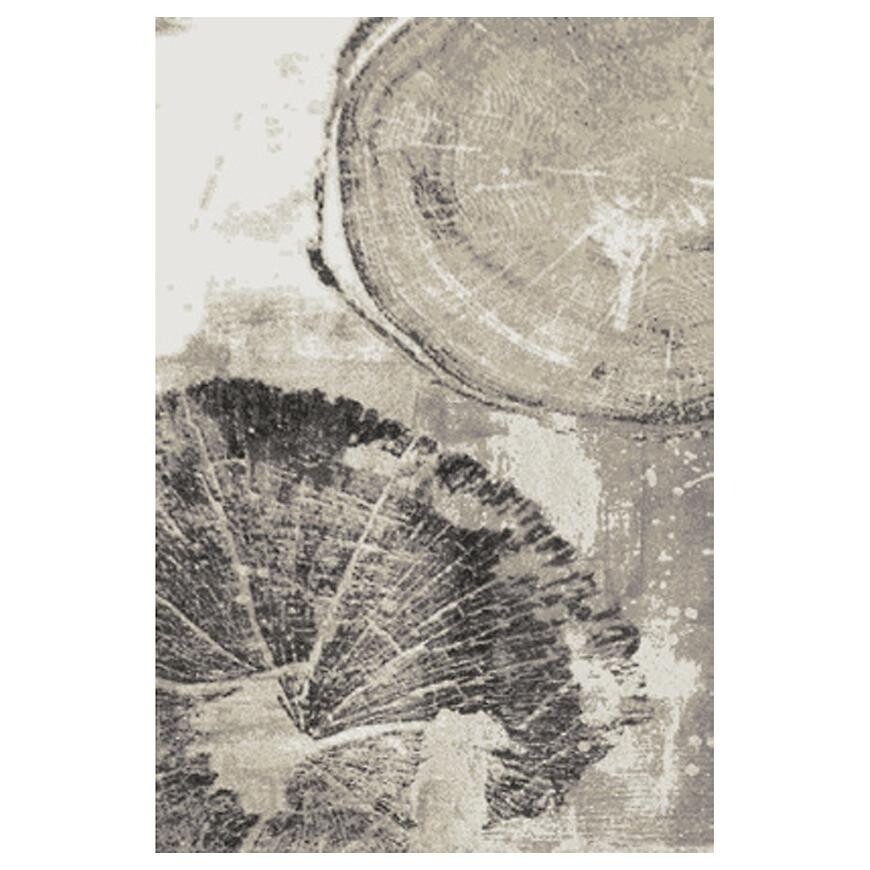 Koberec Frisee Phoenix 0,8/1,5 6045 244