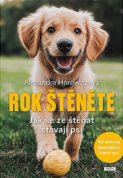 Rok štěněte