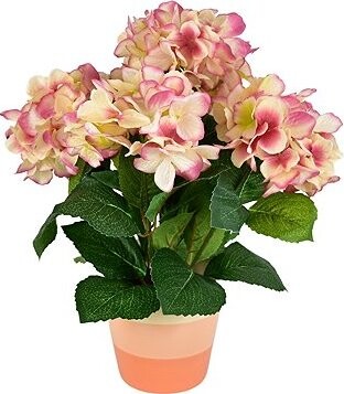DOMMIO Hortenzia staroružová 5 kvetov v keramickom kvetináči 40 × 30 cm