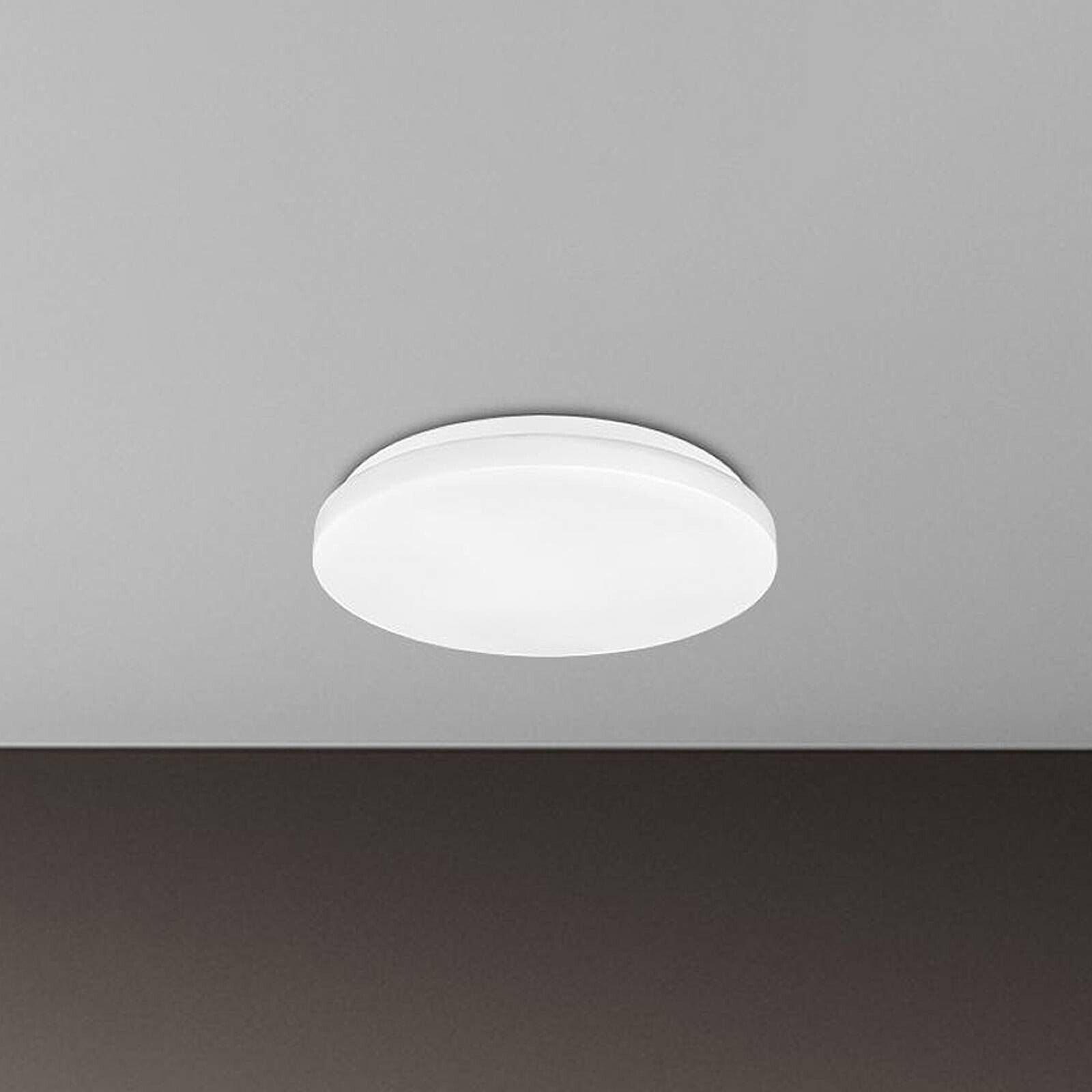 Stropné LED svetlo Elipso, biele, plast, Ø 29 cm, 4000K