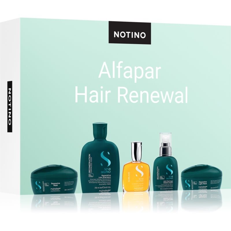 Beauty Discovery Box Notino XL - Alfaparf Hair Renewal sada pre ženy
