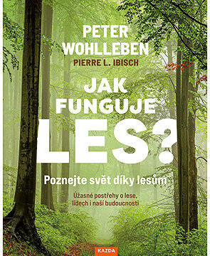Jak funguje les?