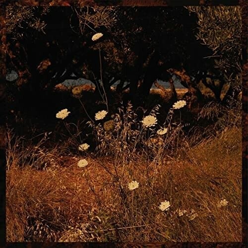 Szun Waves, EARTH PATTERNS, CD