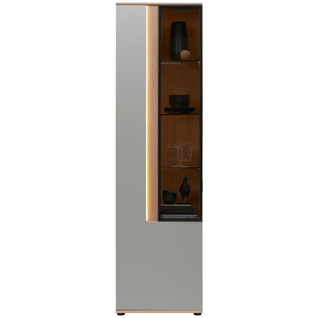 Dieter Knoll VITRÍNA, svetlosivá, 60,6/213,1/42 cm
