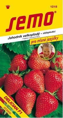 SEMO Jahoda veľkoplodá DELICIAN F1 stálerodiaca