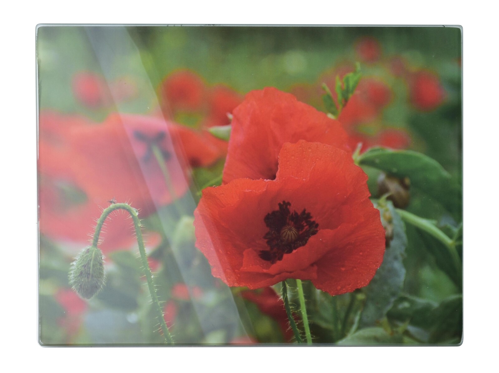 Skleněné krájecí prkénko Aria POPPY 30x40 cm červené