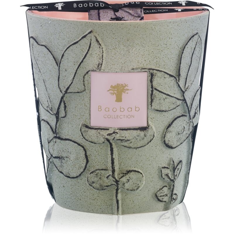 Baobab Collection Folia Maquis vonná sviečka 16 cm