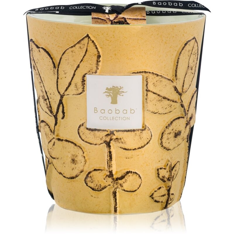 Baobab Collection Folia Garrigue vonná sviečka 16 cm