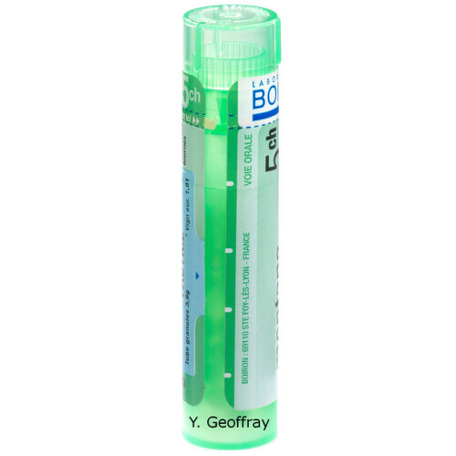 FERRUM METALLICUM 5CH granule 4 g