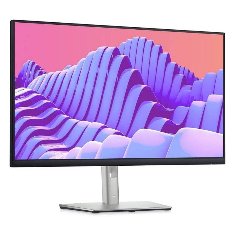 Dell Professional P2422H - C