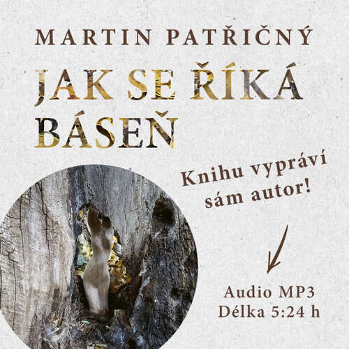 Jak se říká báseň - Martin Patřičný (mp3 audiokniha)