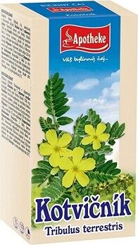 Apotheke Kotvičník čaj 20× 1,5 g